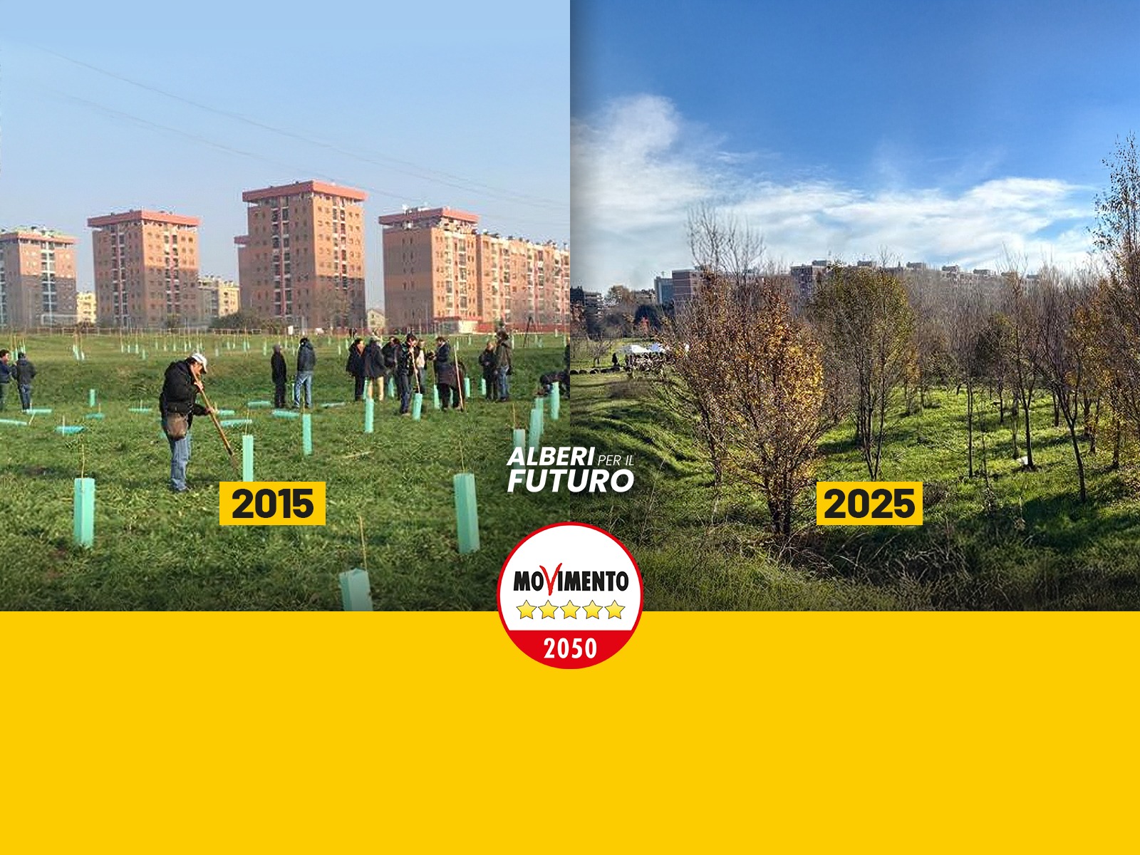 alberi 10a edizione alberi 10a edizione