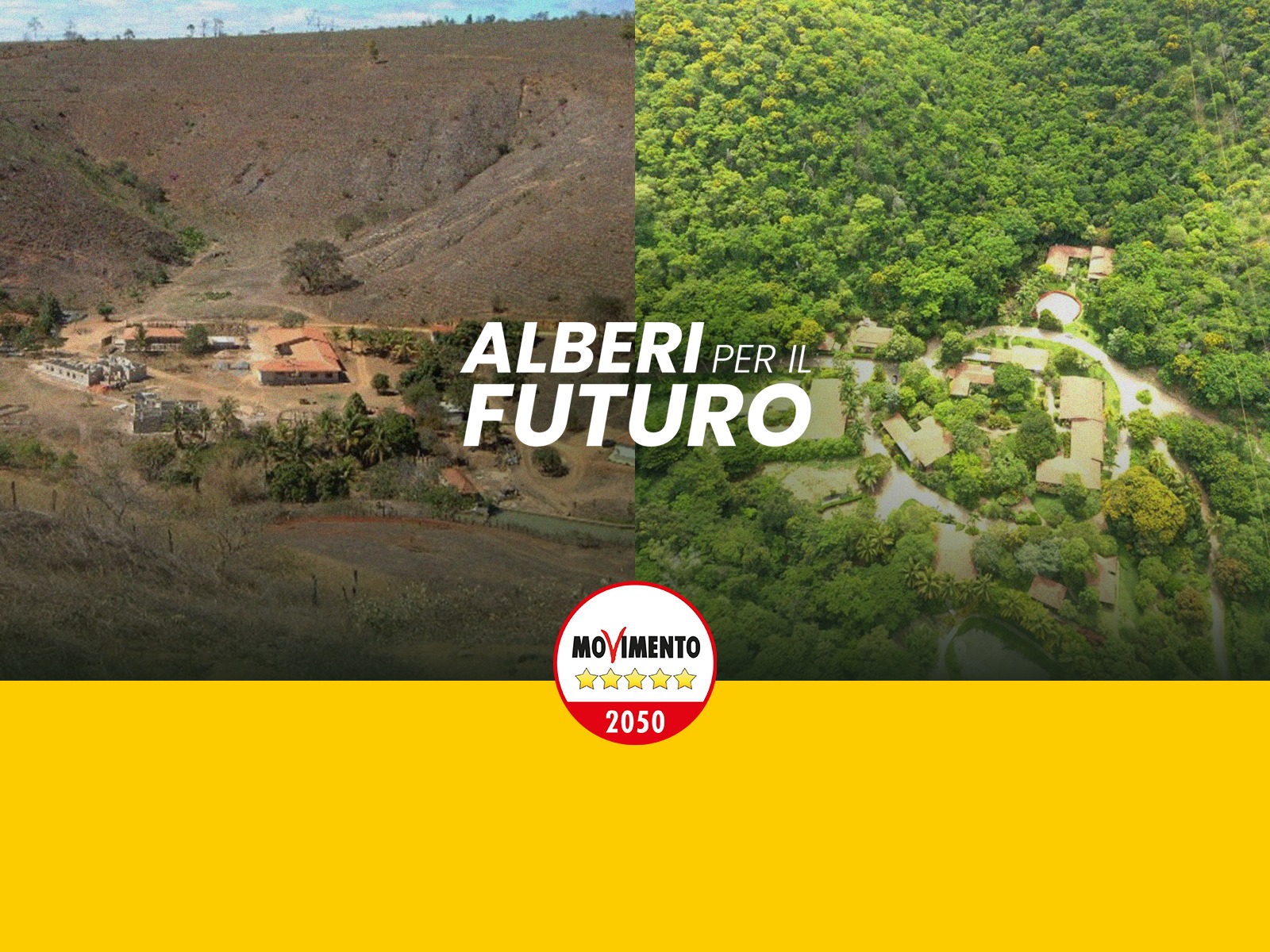 alberi 2025 alberi 2025