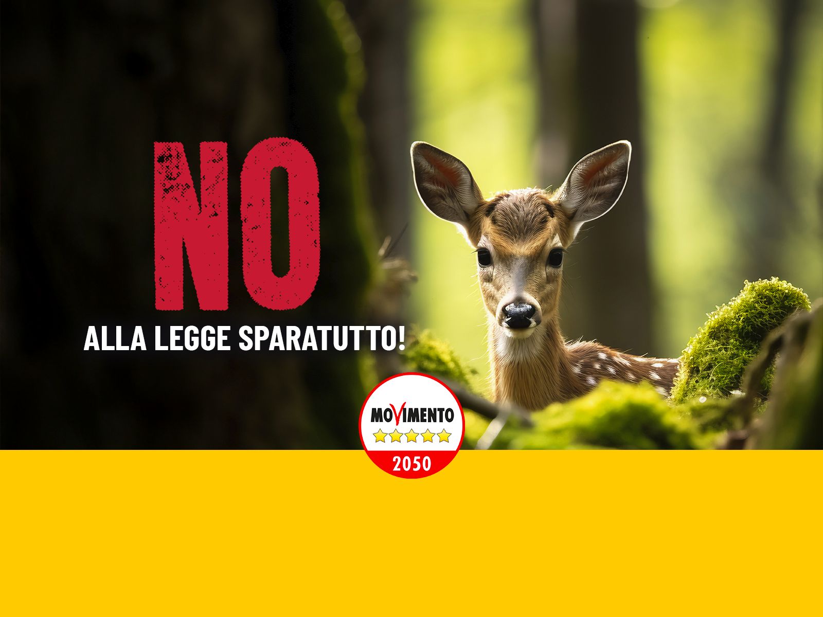 no legge sparatutto no legge sparatutto
